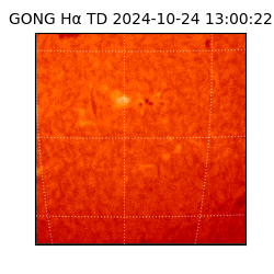 gong - 2024-10-24T13:00:22