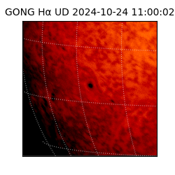 gong - 2024-10-24T11:00:02