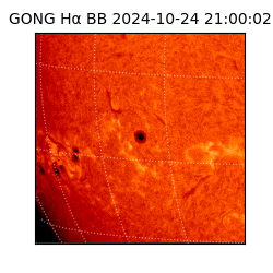 gong - 2024-10-24T21:00:02