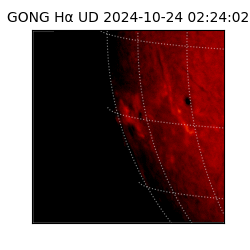 gong - 2024-10-24T02:24:02