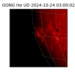 gong - 2024-10-24T03:00:02