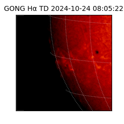 gong - 2024-10-24T08:05:22