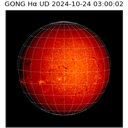 gong - 2024-10-24T03:00:02