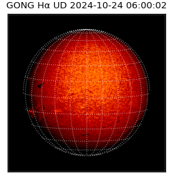 gong - 2024-10-24T06:00:02