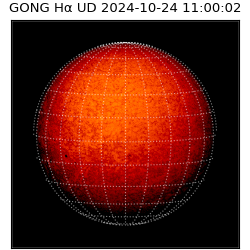 gong - 2024-10-24T11:00:02