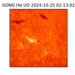 gong - 2024-10-25T02:13:02