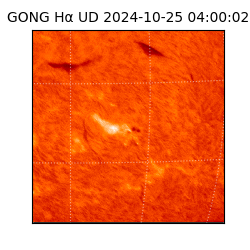 gong - 2024-10-25T04:00:02