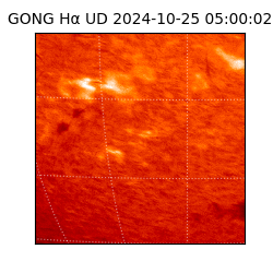 gong - 2024-10-25T05:00:02