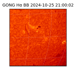 gong - 2024-10-25T21:00:02