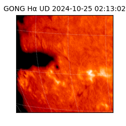 gong - 2024-10-25T02:13:02