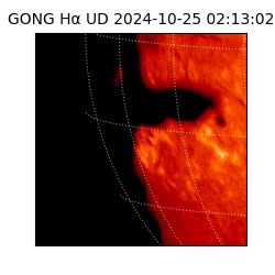 gong - 2024-10-25T02:13:02
