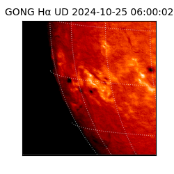 gong - 2024-10-25T06:00:02