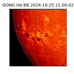 gong - 2024-10-25T21:00:02