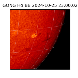 gong - 2024-10-25T23:00:02
