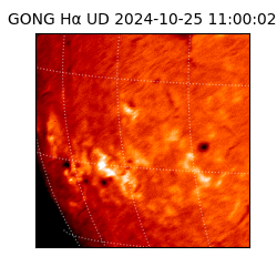 gong - 2024-10-25T11:00:02