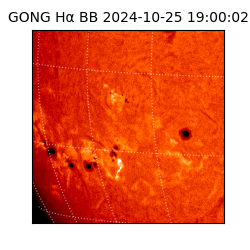 gong - 2024-10-25T19:00:02