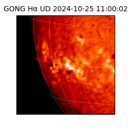 gong - 2024-10-25T11:00:02