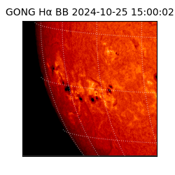 gong - 2024-10-25T15:00:02
