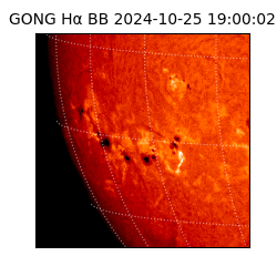 gong - 2024-10-25T19:00:02
