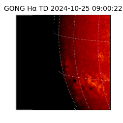 gong - 2024-10-25T09:00:22