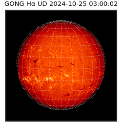 gong - 2024-10-25T03:00:02