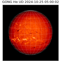 gong - 2024-10-25T05:00:02
