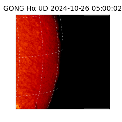 gong - 2024-10-26T05:00:02
