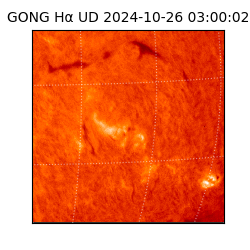 gong - 2024-10-26T03:00:02