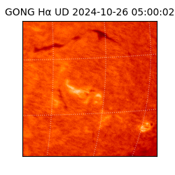 gong - 2024-10-26T05:00:02