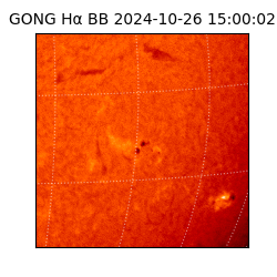 gong - 2024-10-26T15:00:02