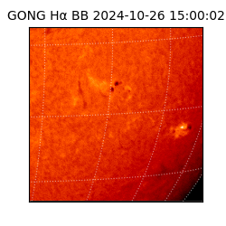 gong - 2024-10-26T15:00:02