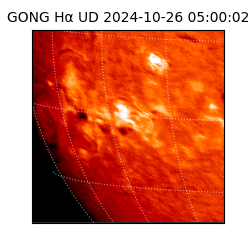 gong - 2024-10-26T05:00:02