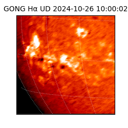 gong - 2024-10-26T10:00:02
