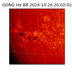 gong - 2024-10-26T20:02:02