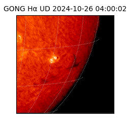 gong - 2024-10-26T04:00:02