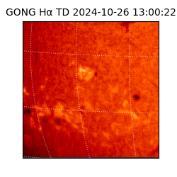 gong - 2024-10-26T13:00:22