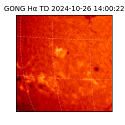 gong - 2024-10-26T14:00:22