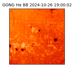 gong - 2024-10-26T19:00:02