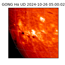 gong - 2024-10-26T05:00:02