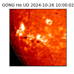 gong - 2024-10-26T10:00:02