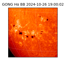 gong - 2024-10-26T19:00:02