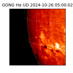 gong - 2024-10-26T05:00:02