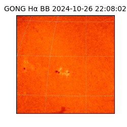 gong - 2024-10-26T22:08:02