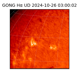 gong - 2024-10-26T03:00:02