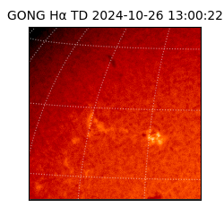 gong - 2024-10-26T13:00:22