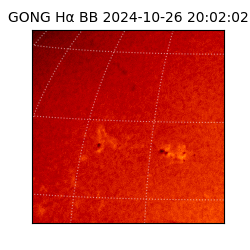 gong - 2024-10-26T20:02:02