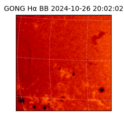 gong - 2024-10-26T20:02:02