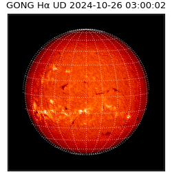gong - 2024-10-26T03:00:02