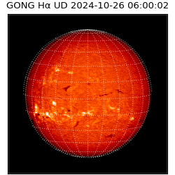 gong - 2024-10-26T06:00:02