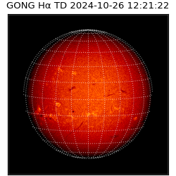 gong - 2024-10-26T12:21:22